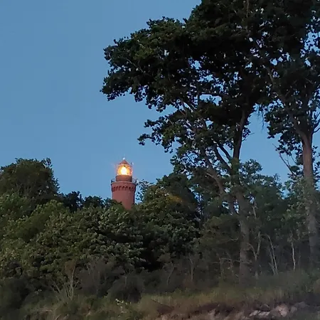 Paprotowka Sloneczny Paprotno