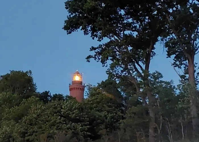 Paprotowka Sloneczny Paprotno