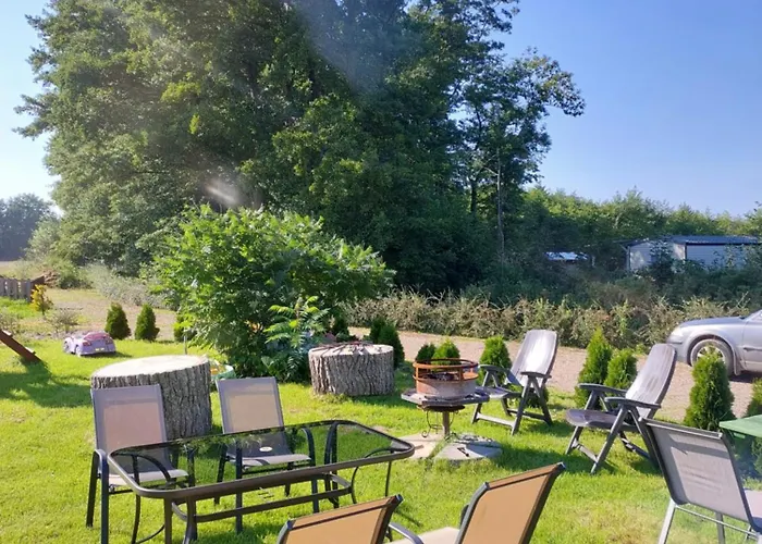 Paprotowka Sloneczny Paprotno